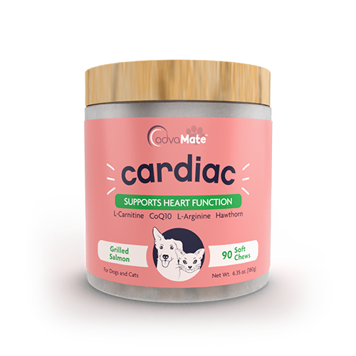 À Mâcher Doux Cardiaques (1 bouteille) À Mâcher Doux Cardiaques (1 bouteille)
