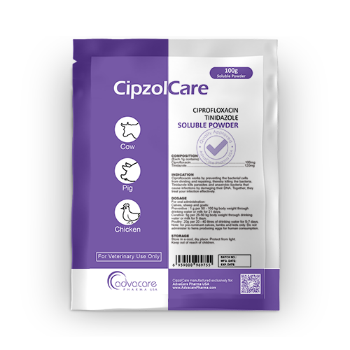 Ciprofloxacin + Tinidazole Soluble Powder (1 bag)