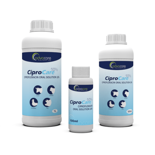 Solución Oral de Ciprofloxacino (100ml botella, 500botella de ml y 1botella de L) Solución Oral de Ciprofloxacino (100ml botella, 500botella de ml y 1botella de L)