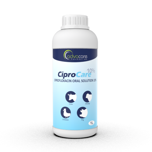 Solución Oral de Ciprofloxacino (1 botella) Solución Oral de Ciprofloxacino (1 botella)