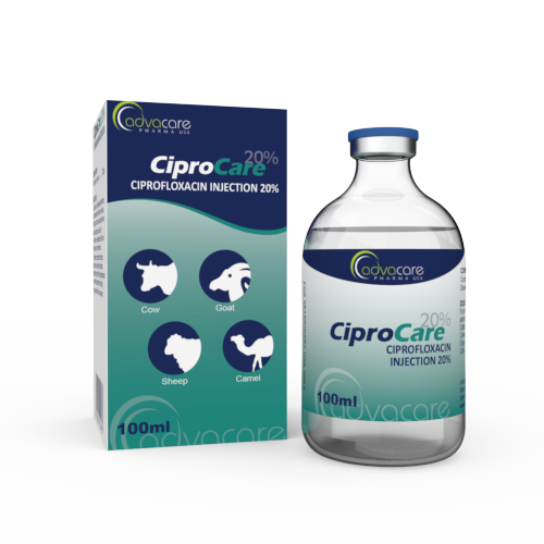 Inyección de Ciprofloxacina (1 caja y 1 frasco) Inyección de Ciprofloxacina (1 caja y 1 frasco)