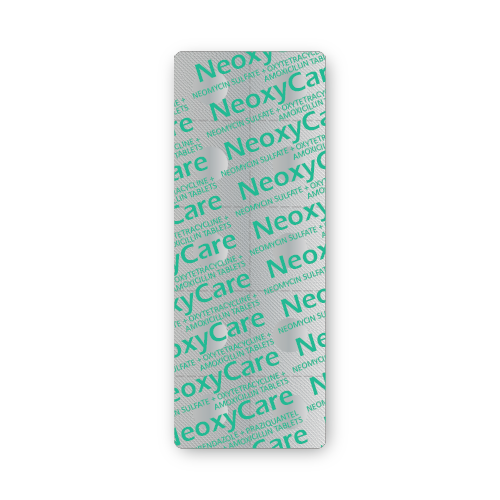 Comprimés de Sulfate de Néomycine + Oxytétracycline + Amoxicilline (plaquette de 10 comprimés) Comprimés de Sulfate de Néomycine + Oxytétracycline + Amoxicilline (plaquette de 10 comprimés)