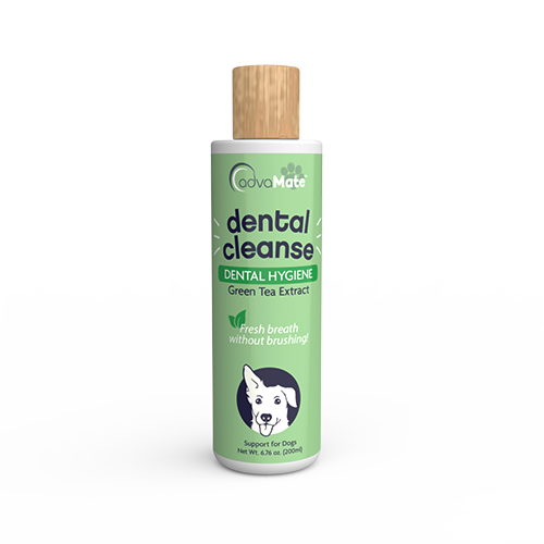 Dental Cleanse Solution (1 bottle)