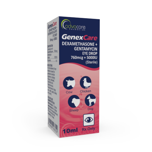 Gotas Oftálmicas de Dexametasona + Gentamicina (caja de 1 botellas)