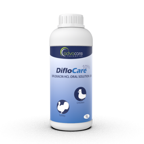 Solution Orale de Difloxacine HCl (1 bouteille) Solution Orale de Difloxacine HCl (1 bouteille)