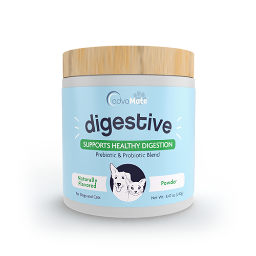 Digestive Support Powder (1 bottle)