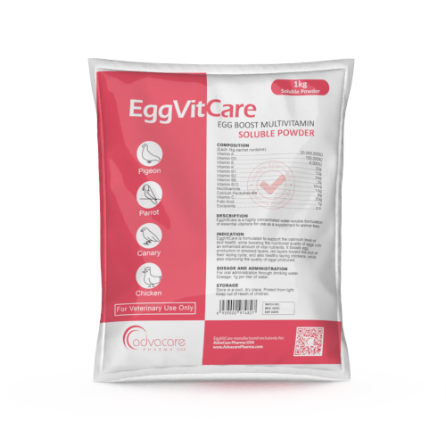 Egg Boost Multivitamin Soluble Powder (1 bag)