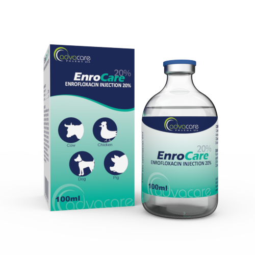 Enrofloxacin Injection (1 box and 1 vial)