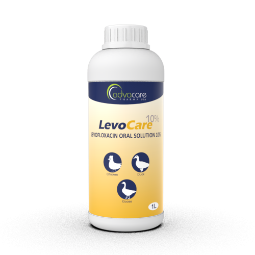 Solution Orale de Lévofloxacine (1 bouteille)