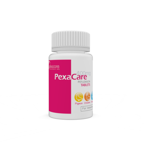 Comprimés de Péfloxacine (bouteille de 100 comprimés)