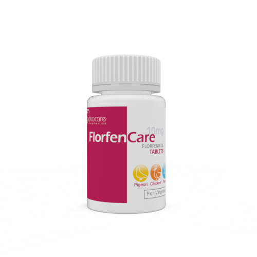 Comprimés de Florfénicol (bouteille de 100 comprimés)