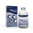 Injection de Méglumine Flunixine (1 boîte et 1 flacon)