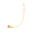 Foley Catheters (1 piece) Foley Catheters (1 piece)