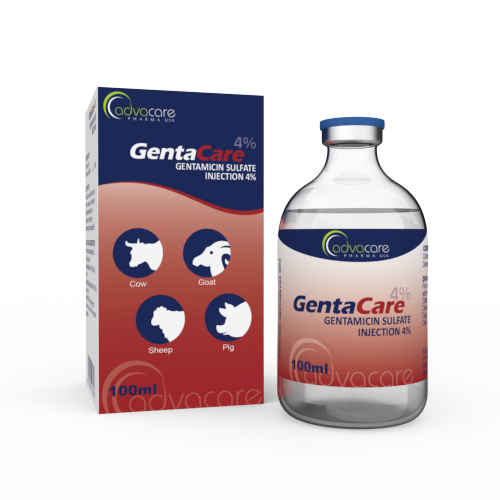 Gentamicin Sulfate Injection (1 box and 1 vial) Gentamicin Sulfate Injection (1 box and 1 vial)