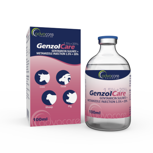 Gentamicin Sulfate + Metamizole Injection (1 box and 1 vial)