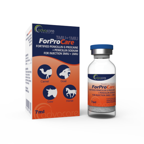 Penicilina G Procaína Fortificada + Penicilina Sódica para Inyección (1 caja y 1 frasco)