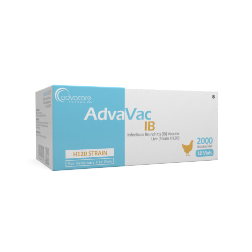 Infectious Bronchitis (IB) Vaccine (box of 10 vials) Infectious Bronchitis (IB) Vaccine (box of 10 vials)