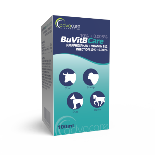 Butaphosphan + Vitamine B12 Injection – Fabricant