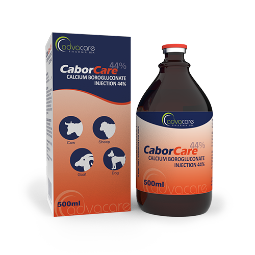 Injection de Borogluconate de Calcium (1 boîte et 1 flacon) Injection de Borogluconate de Calcium (1 boîte et 1 flacon)
