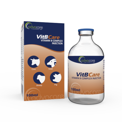 Injection de Complexe de Vitamine B (1 boîte et 1 flacon) Injection de Complexe de Vitamine B (1 boîte et 1 flacon)
