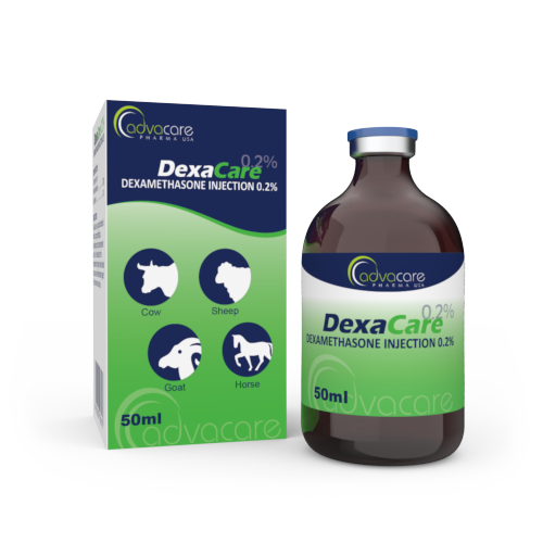 Injection de Dexaméthasone (1 boîte et 1 flacon) Injection de Dexaméthasone (1 boîte et 1 flacon)