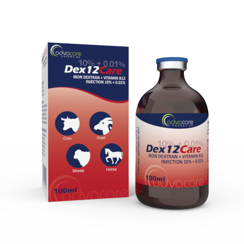 vitamine b12 injectable veterinaire Fer Dextran + Injection – Fabricant Neurobion B12 Complex Liquid Select Your Start Date:10th November Vitamin B12 injection at home and nerves