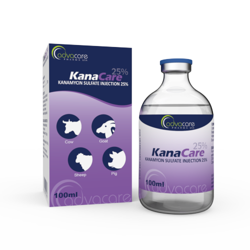 Injections de Sulfate de Kanamycine (1 boîte et 1 flacon) Injections de Sulfate de Kanamycine (1 boîte et 1 flacon)