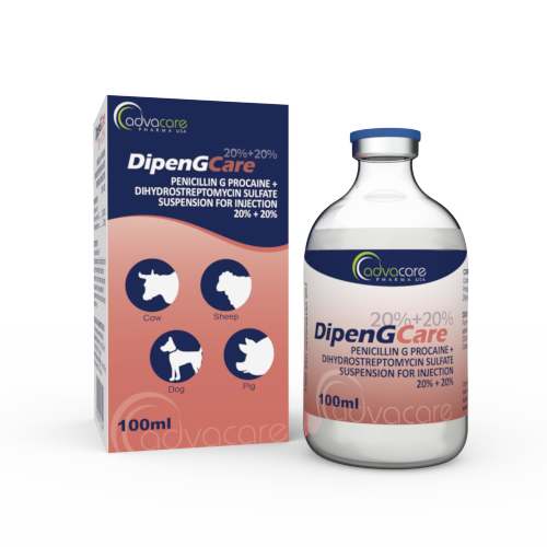 Suspension Injectable de Pénicilline G Procaïne + Sulfate de Dihydrostreptomycine (1 boîte et 1 flacon) Suspension Injectable de Pénicilline G Procaïne + Sulfate de Dihydrostreptomycine (1 boîte et 1 flacon)