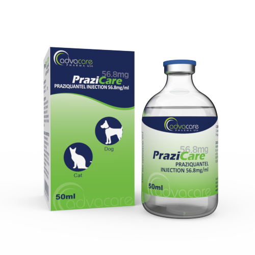 Injection de Praziquantel (1 boîte et 1 flacon) Injection de Praziquantel (1 boîte et 1 flacon)