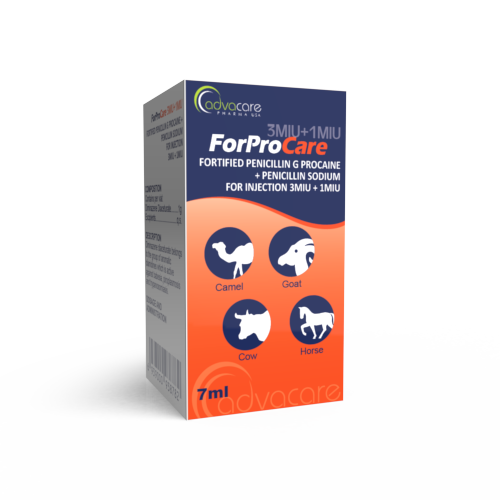 Pénicilline G Procaïne Fortifiée + Pénicilline Sodique pour Injection (boîte de 1 flacon) Pénicilline G Procaïne Fortifiée + Pénicilline Sodique pour Injection (boîte de 1 flacon)