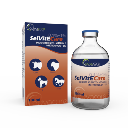 Injection de Sélénite Sodique + Vitamine E (1 boîte et 1 flacon) Injection de Sélénite Sodique + Vitamine E (1 boîte et 1 flacon)