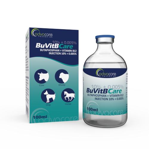 Inyección de Butafosfano + Vitamina B12 (1 caja y 1 frasco) Inyección de Butafosfano + Vitamina B12 (1 caja y 1 frasco)