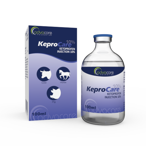 Inyección de Ketoprofeno (1 caja y 1 frasco) Inyección de Ketoprofeno (1 caja y 1 frasco)