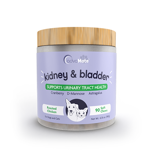 Kidney & Bladder Soft Chews (1 bottle)