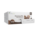 parvovirus (PV)