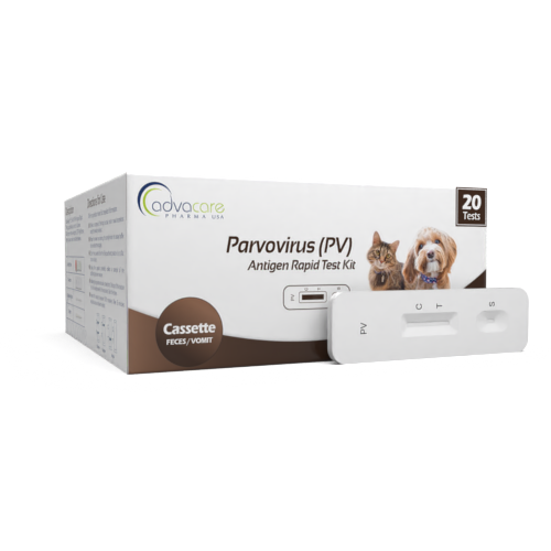 parvovirus (PV)