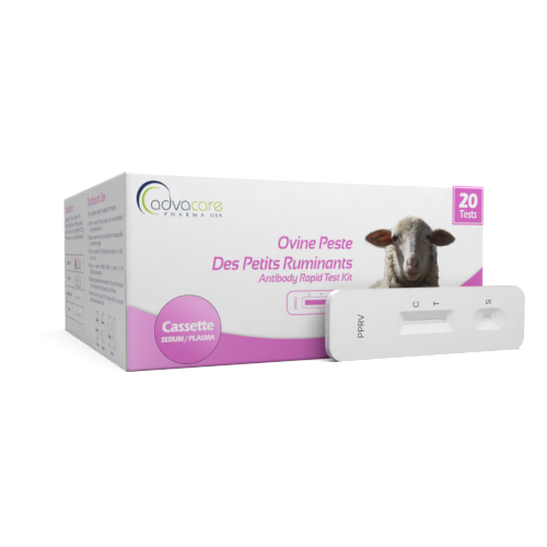 Peste de Pequeños Rumiantes Ovina (PPRV) Peste de Pequeños Rumiantes Ovina (PPRV)
