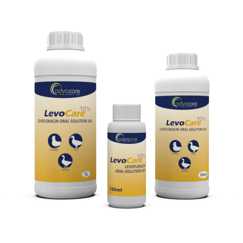 Levofloxacin Oral Solution (100ml bottle, 500ml bottle and 1L bottle) Levofloxacin Oral Solution (100ml bottle, 500ml bottle and 1L bottle)