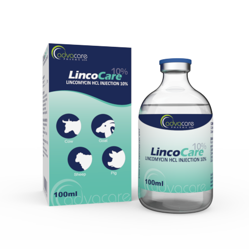 Lincomycin HCl Injection (1 box and 1 vial) Lincomycin HCl Injection (1 box and 1 vial)