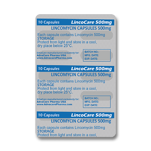 Capsules de Lincomycine (blister de 10 capsules)