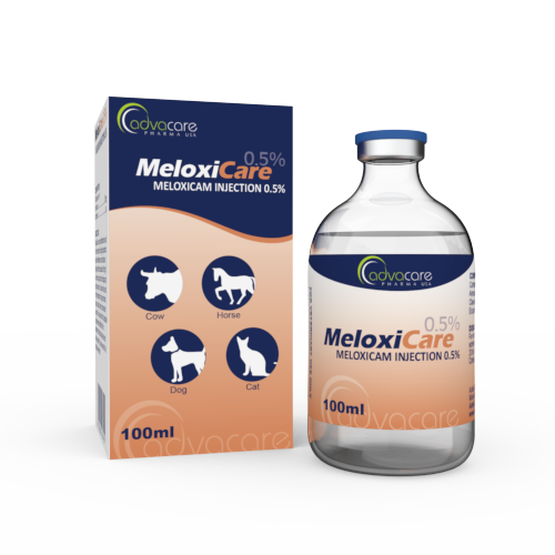 Meloxicam Injection (1 box and 1 vial)