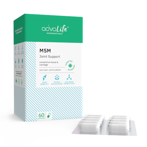 MSM Capsules (1 box and 1 blister) MSM Capsules (1 box and 1 blister)
