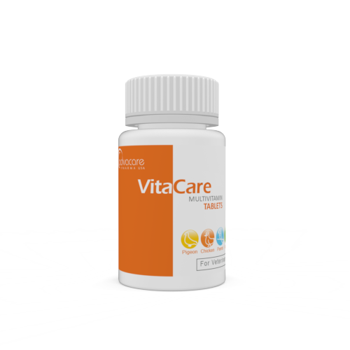 Multivitamin Tablets (bottle of 100 tablets)