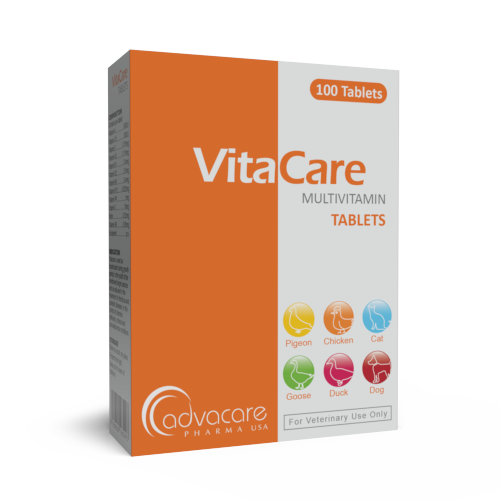 Multivitamin Tablets (box of 100 tablets) Multivitamin Tablets (box of 100 tablets)