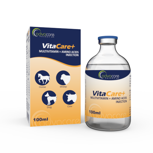 Injection de Multivitamines + Acides Aminés (1 boîte et 1 flacon) Injection de Multivitamines + Acides Aminés (1 boîte et 1 flacon)