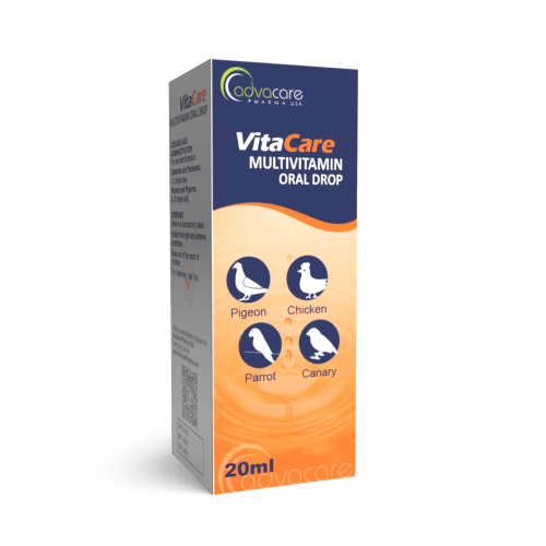 Gouttes Orales Multivitamines (boîte de 1 bouteille) Gouttes Orales Multivitamines (boîte de 1 bouteille)