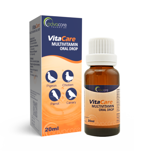 Gouttes Orales Multivitamines (1 boîte et 1 bouteille)