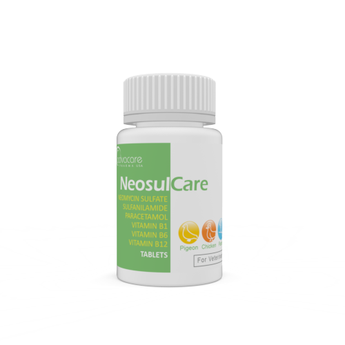 Neomycin Sulfate + Sulfanilamide + Paracetamol + Vitamin B1 + Vitamin B6 + Vitamin B12 Tablets (bottle of 100 tablets)