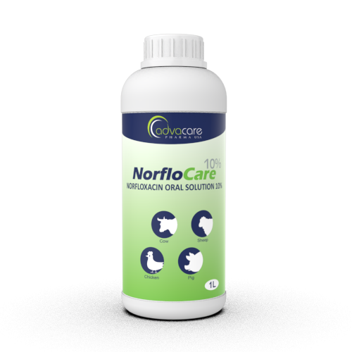 Solución Oral de Norfloxacina (1 botella)
