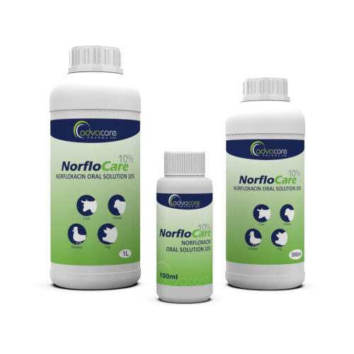 Solution Orale de Norfloxacine (Bouteille de 100ml, 500bouteille de ml et 1bouteille de L) Solution Orale de Norfloxacine (Bouteille de 100ml, 500bouteille de ml et 1bouteille de L)
